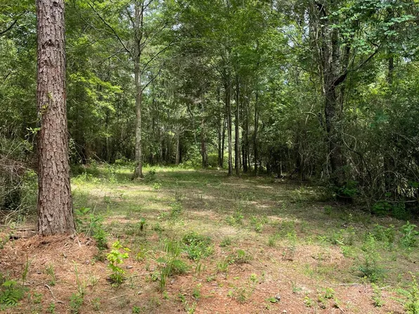 0 Divide Rd, Jayess, MS 39641