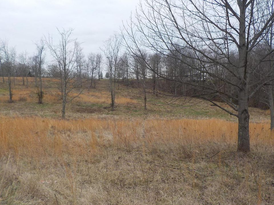 2nd image of Morris Buncic Rd