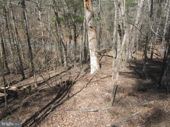 180 Spruce Ln, Mount Jackson, VA 22842