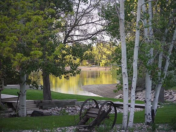 Back Yard View