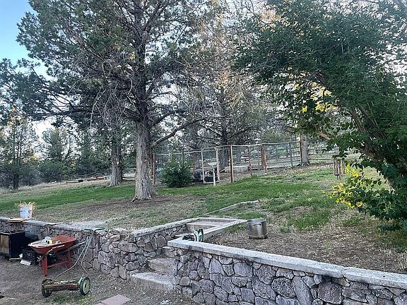 Back yard