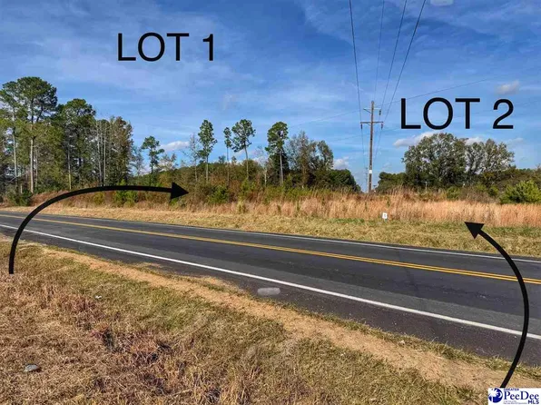 LOT 1 E Academy St, Latta, SC 29565