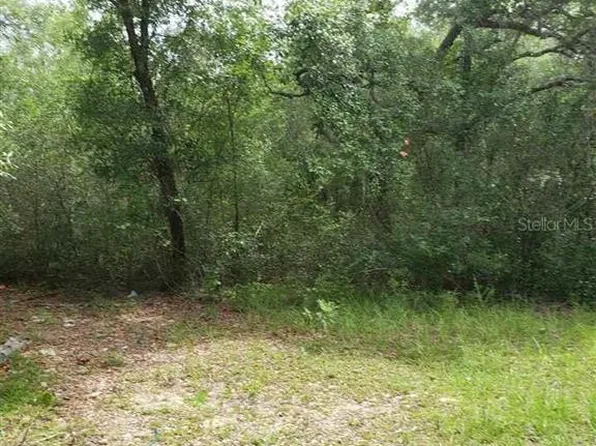 1000 Dawn Ave, Interlachen, FL 32148