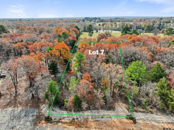 Private Road 6305 Lot 7, Mineola, TX 75773