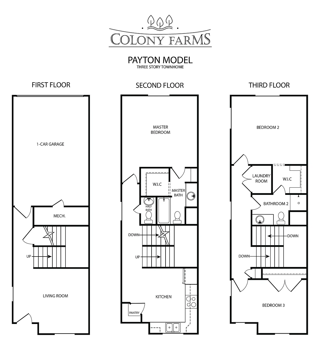 Floor plan 3-Story Payton