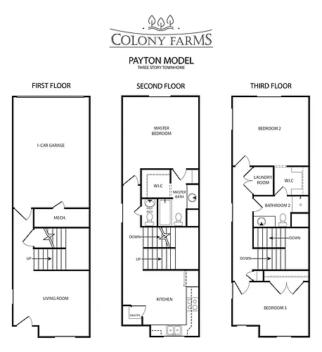 Floor plan 3-Story Payton