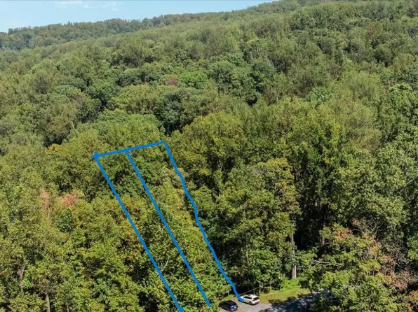 LOT 5 Forest Rd, Front Royal, VA 22630