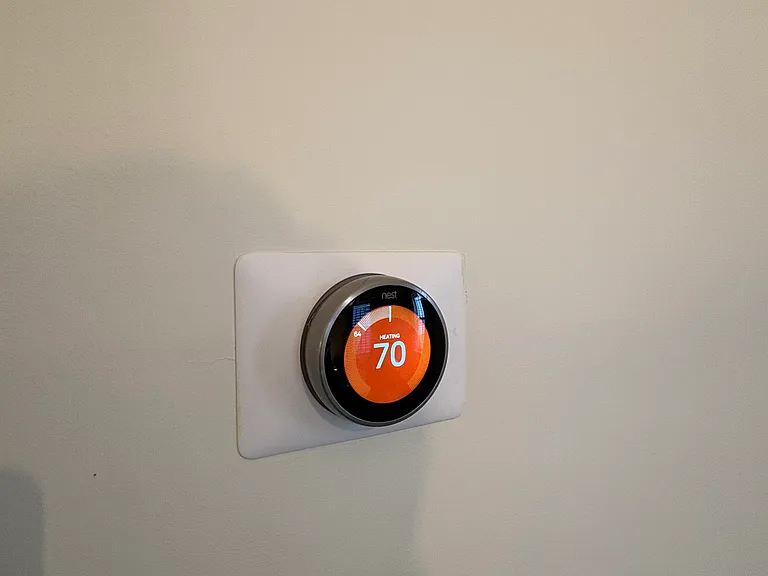 Nest
