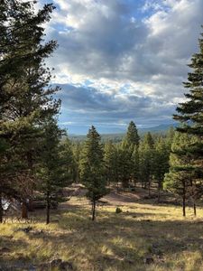 451 Crimson Peak Ct, Seeley Lake, MT, 59868