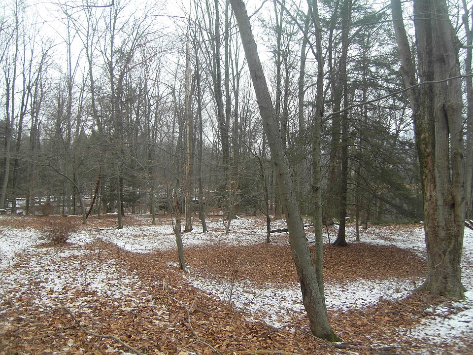 1st image of 0 Pine Dr