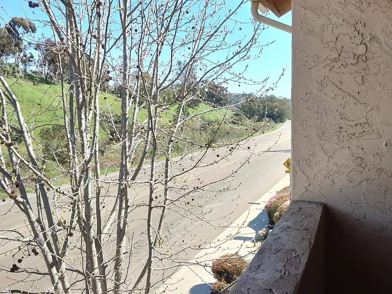8282 Gilman Dr — Photo 34