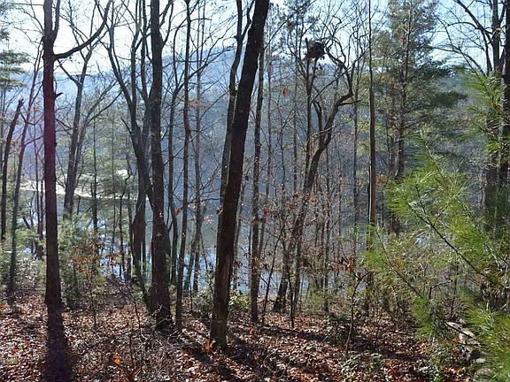 4th image of 2 Cane Creek Ln #2