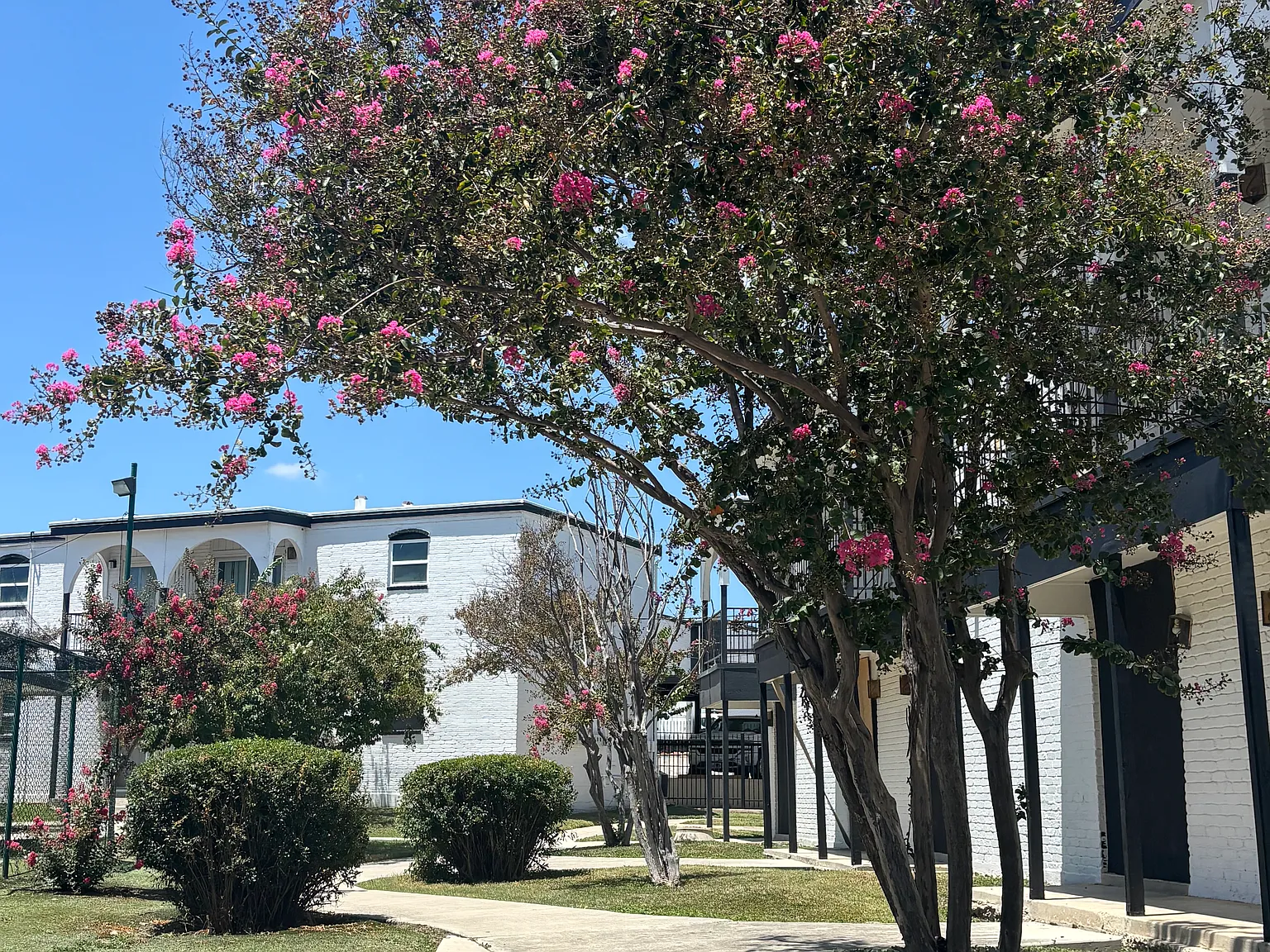 Casa Luna Apartments — Photo 2