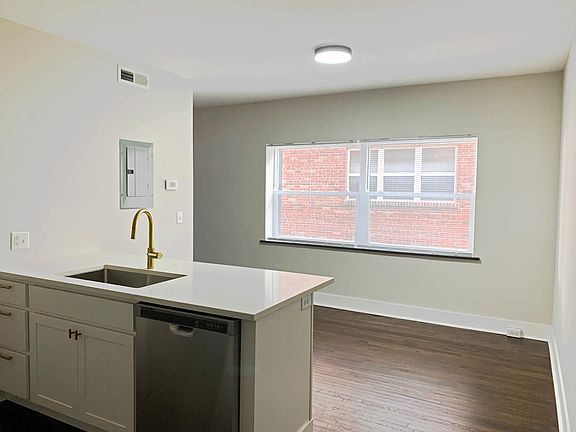 Large undermount sink, and brass finished faucet.