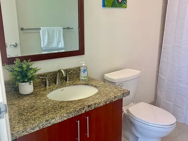 Primary bathroom