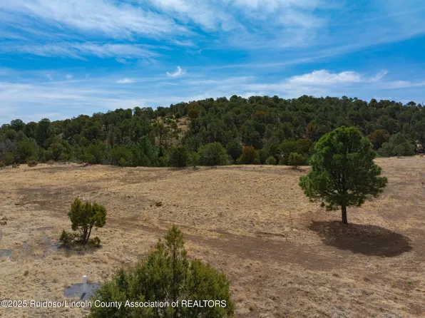 110 Bean Patch Rd, Capitan, NM 88316