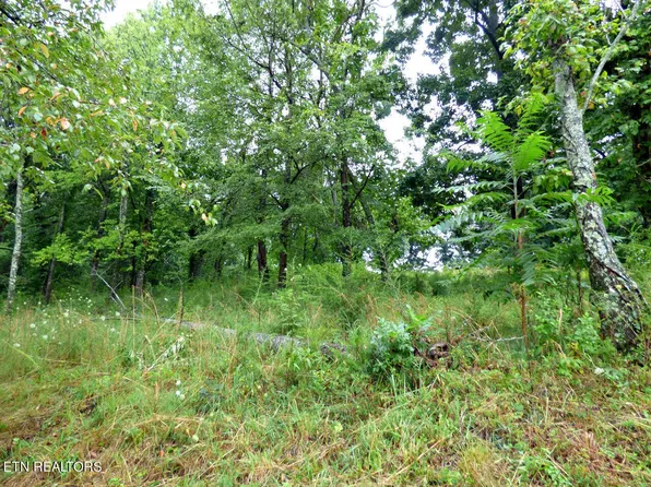 37 Stonehenge Way, Dandridge, TN 37725
