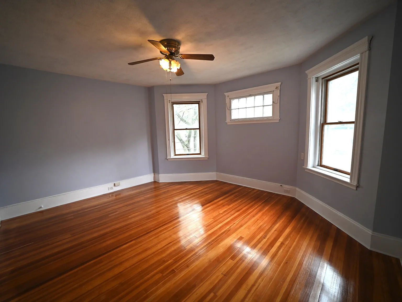 3 bed, 1.5 bath, 2000 sqft, $5,500 — Photo 4