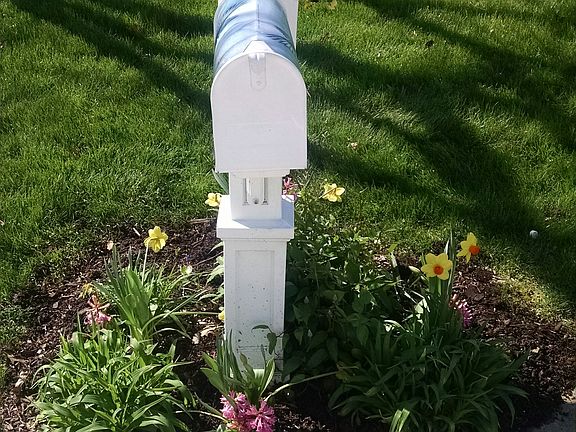 Front yard