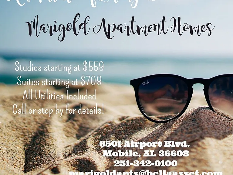 Marigold Apartments — Photo 5