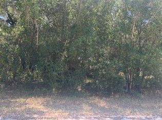 2841 W Rochester Rd, Avon Park, FL 33825