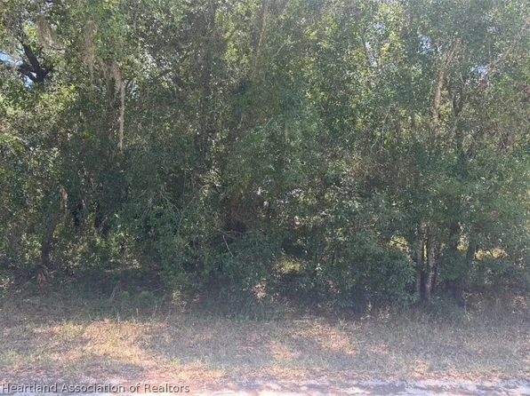2841 W Rochester Rd, Avon Park, FL 33825