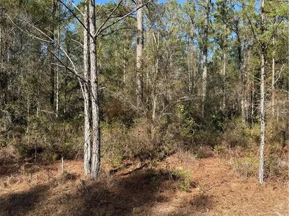 0 Heritage Cir, Hortense, GA 31543