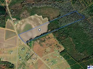 Una Rd, Lamar, SC 29069