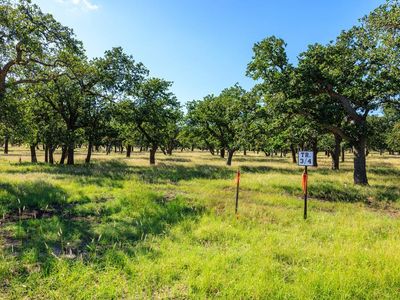 3 Kopper Kettle Ln, Fredericksburg, TX, 78624