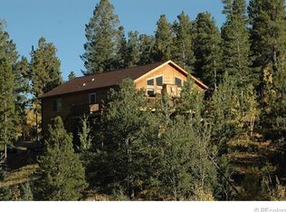 117 Bristlecone Cir, Bailey, CO 80421