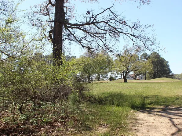 111 Main Sail Ct, Greenbackville, VA 23356