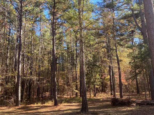 State Highway 64 Hwy, Ben Wheeler, TX 75754