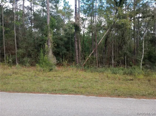 1797 W Stafford St, Hernando, FL 34442