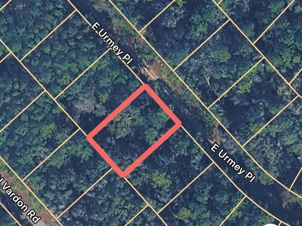 1148 E URMEY PLACE LOT 80, CITRUS SPRINGS, FL 34434