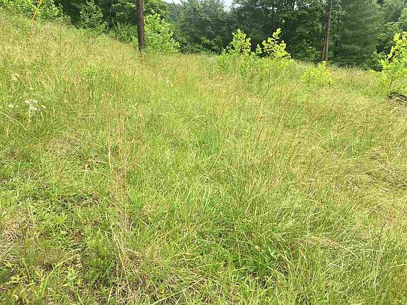 3rd image of 5375 County Road 15