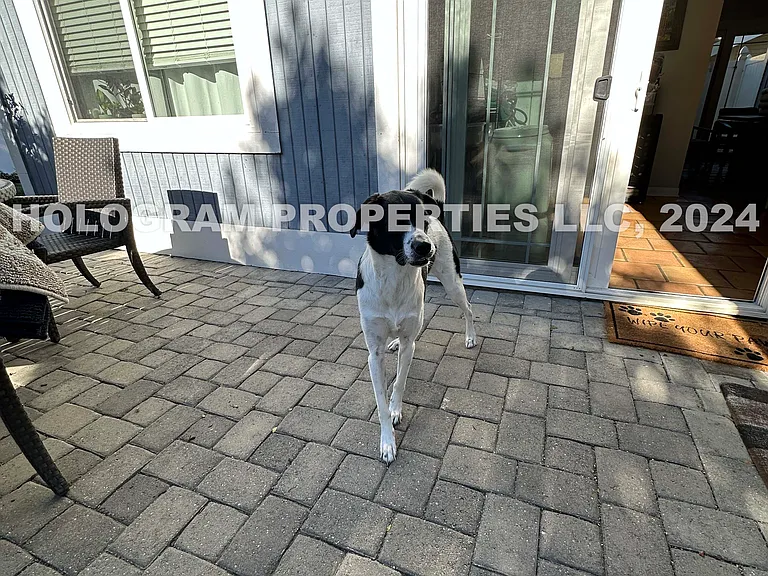 2325 Ganador Ct — Photo 37