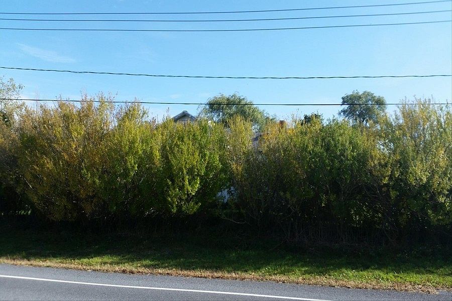 1st image of 3797 County Road 40