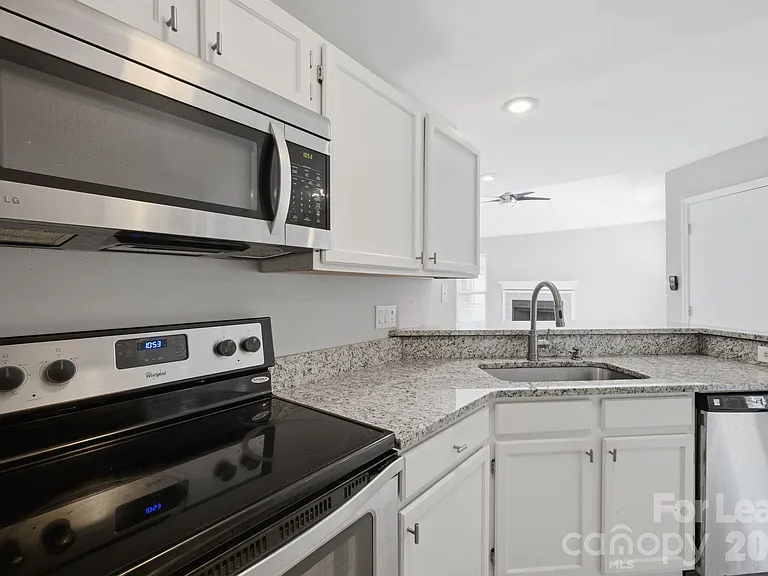 18841 Vineyard Point Ln — Photo 8