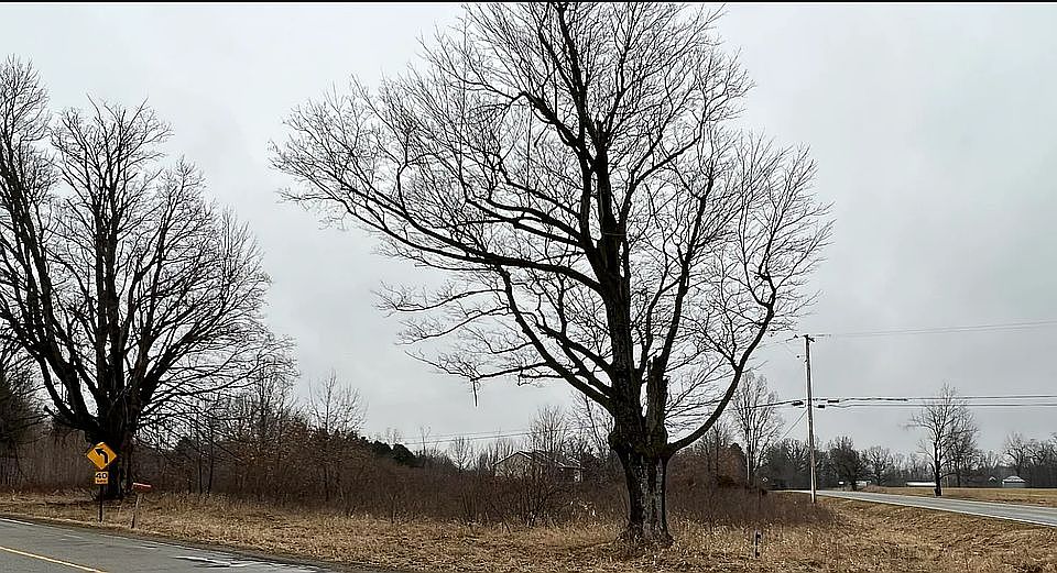 1st image of 0 Grand River Ave