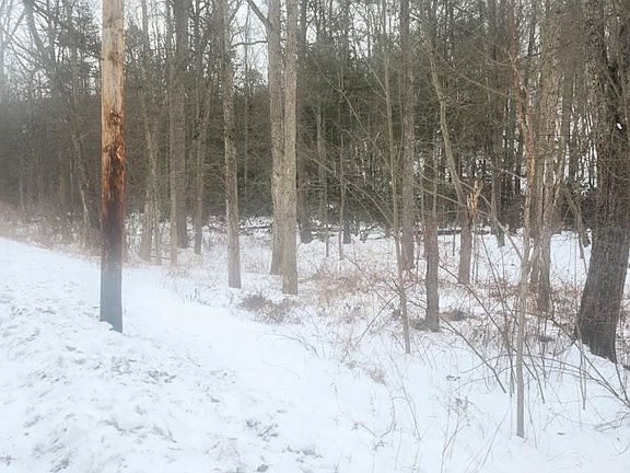 3rd image of Brush Creek Rd