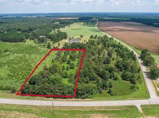 3 Stone Springfield Chruch Rd, Stapleton, GA 30823