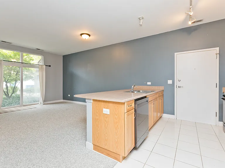 1515 S Halsted St #214 — Photo 6