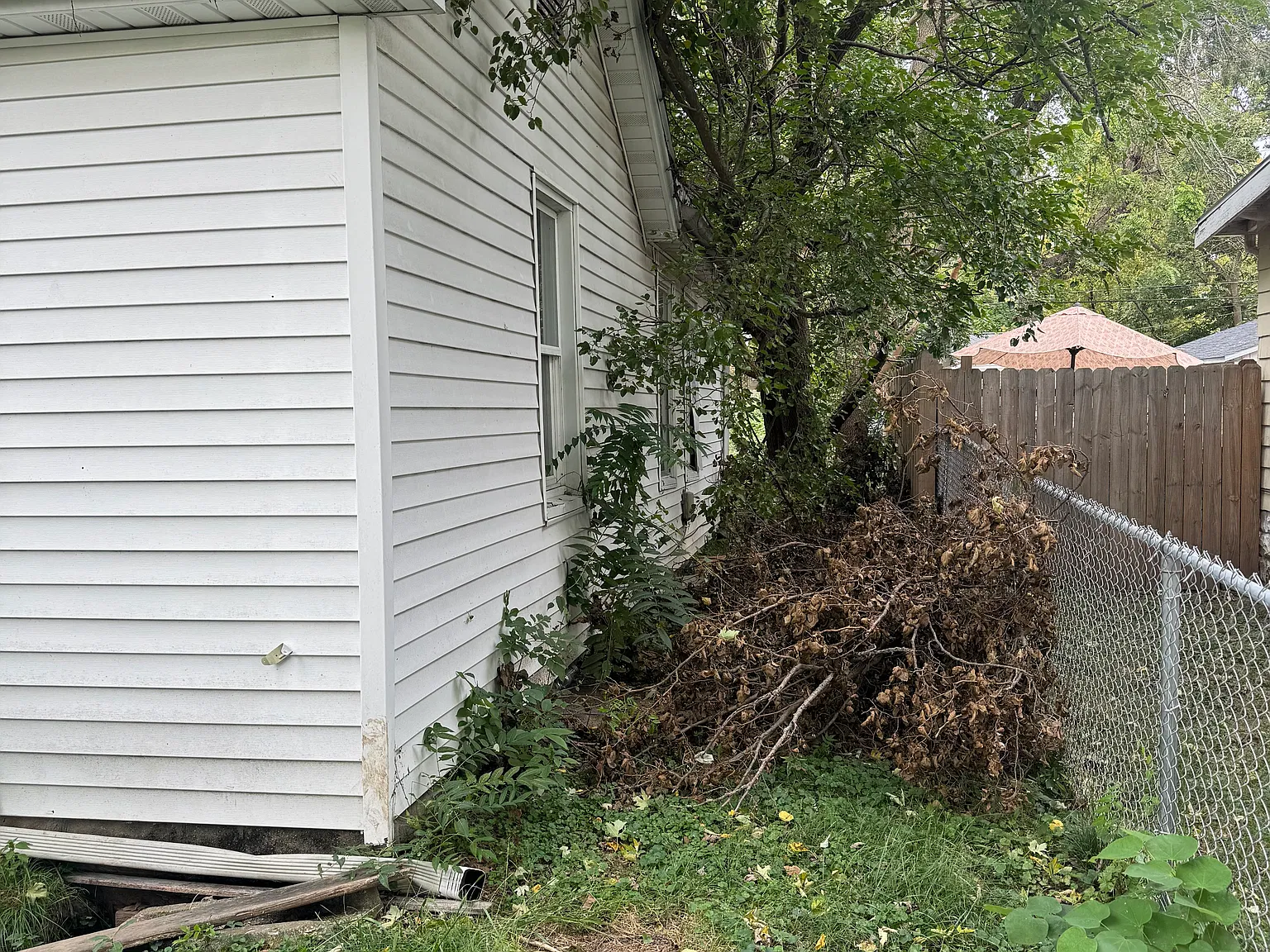 2 bed, $975 — Photo 4