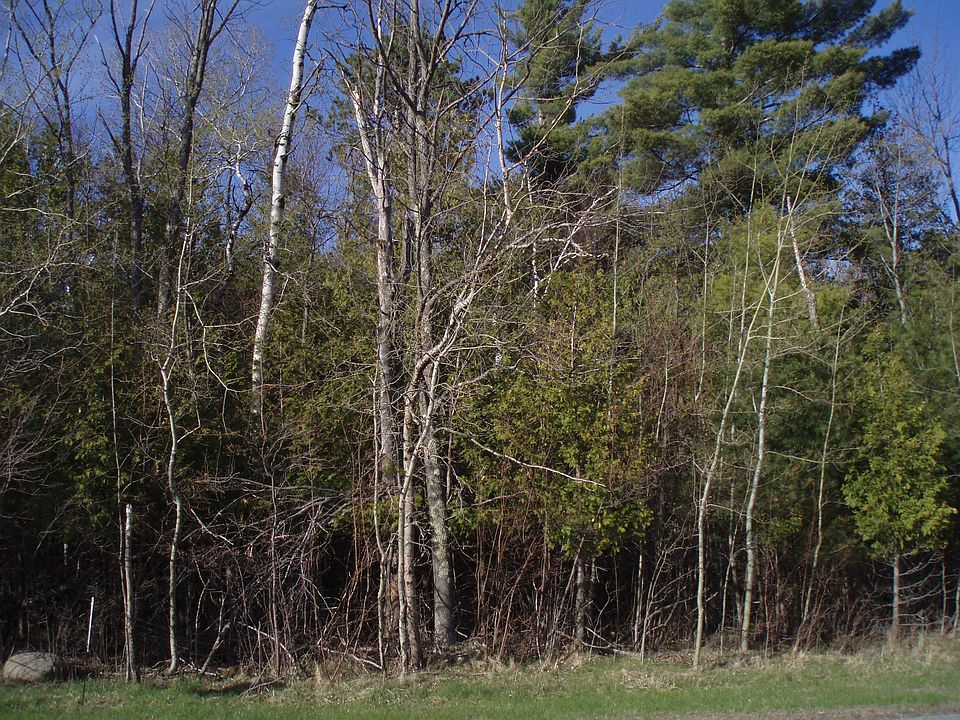 1st image of Whiteface Memorial Highway
