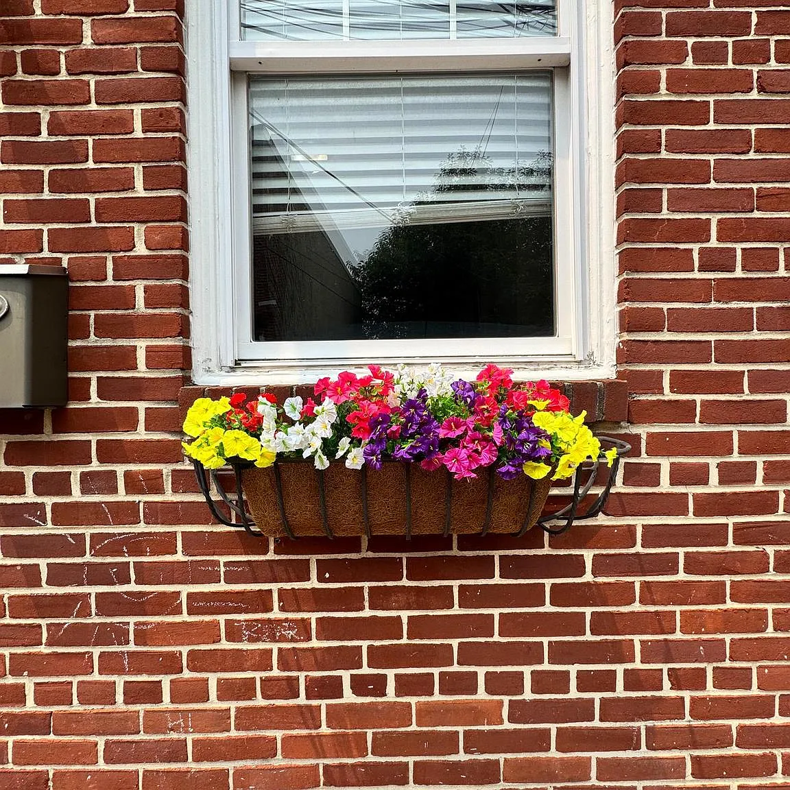 2 bed, 1.0 bath, 648 sqft, $1,695 — Photo 4