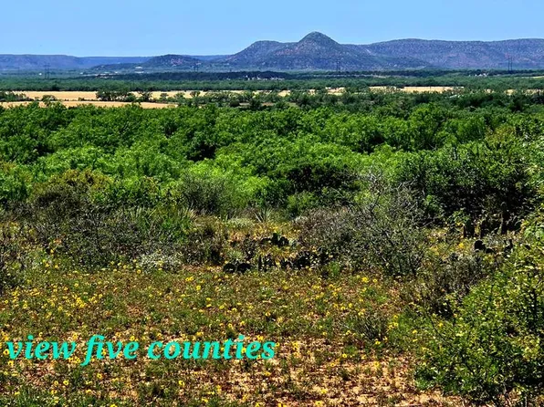 0 Other, Bronte, TX 76933
