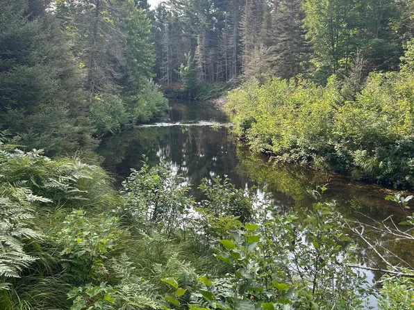 2 Potato Patch Rd, Lake Linden, MI 49945