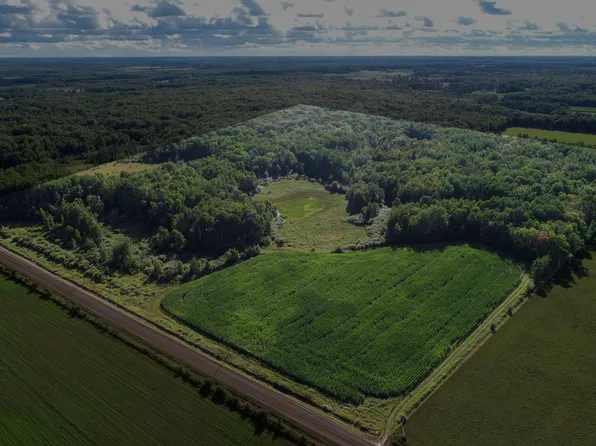 Cloverdale, Bruno, MN 55712