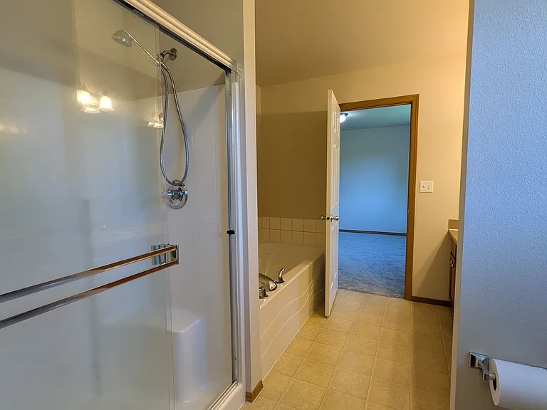 Primary shower and view of soaking tub