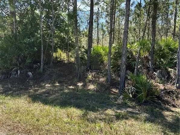 628 Barclay St, Lake Placid, FL 33852